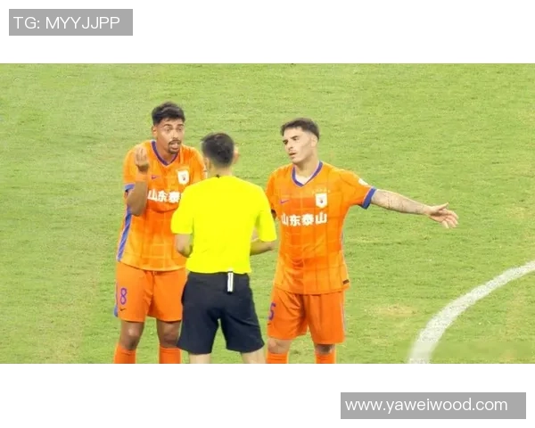 泰山队明星球员泽卡马德鲁加彭啸齐鲁超决赛现场与球迷亲密互动