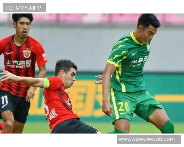 媒体人回应国安薪水发放情况称正常欠薪8个月的说法不可信