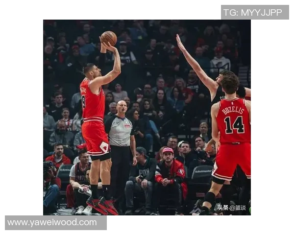 武切维奇谈文班的三分球能力让防守者感到无能为力