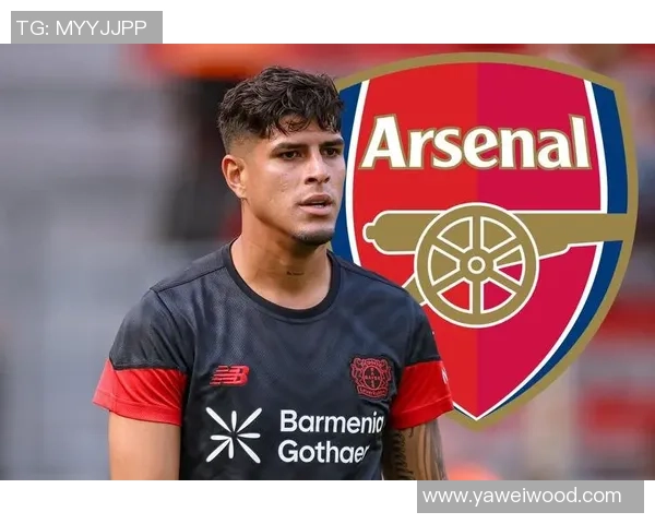 德天空报道勒沃库森有意回购年轻边锋阿拉杰贝戈维奇以增强球队实力