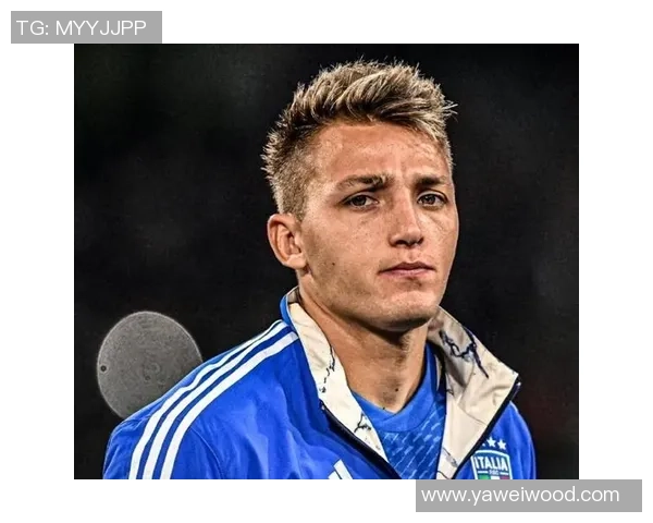 托尼与亚昆塔看好加图索带领意大利晋级世界杯小基耶萨助力显著