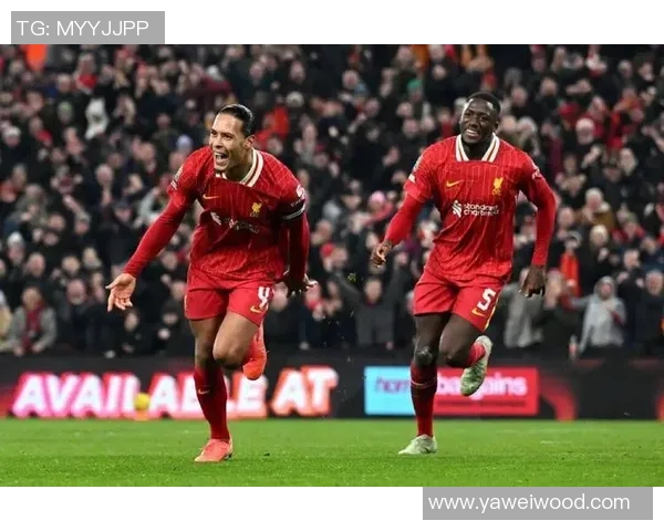 明日起夏窗免签球员阵容曝光DV9格伊于帕等人将成热门目标